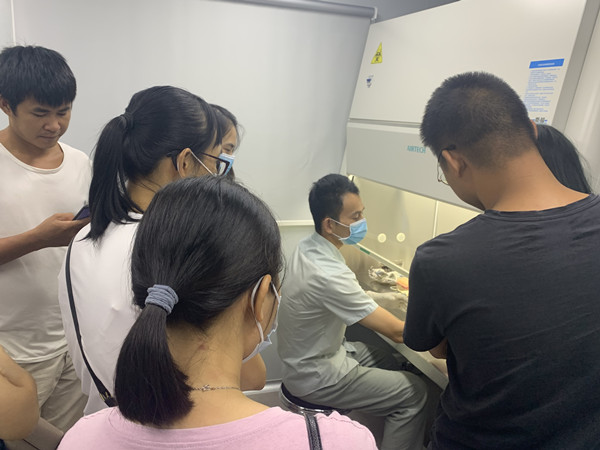 图片说明