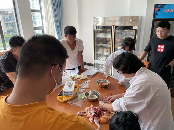 图片说明