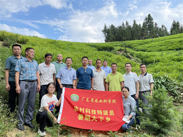 图片说明