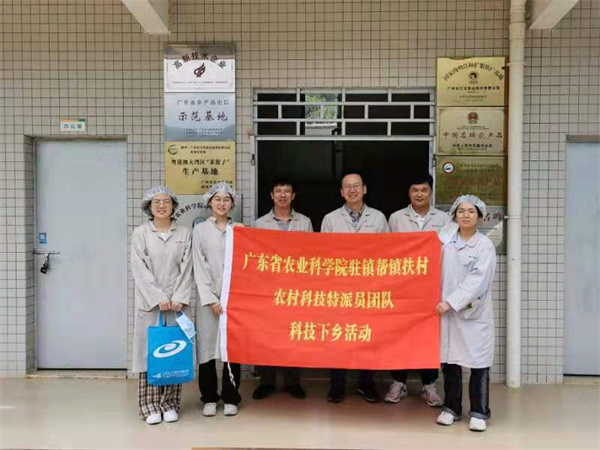 图片说明