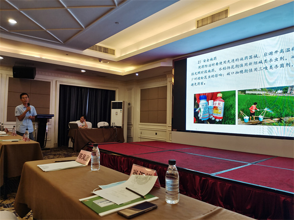 图片说明
