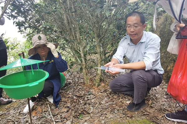 茶叶所专家赴梅州开展茶园生态管理技术培训02 - 副本.jpg