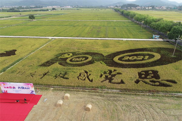 联合开展主题党日活动02.jpg