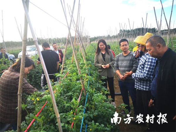 微信图片_20211126085636.jpg