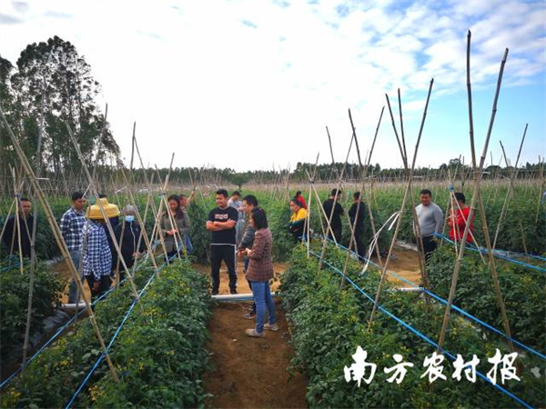 微信图片_20211126085645.jpg