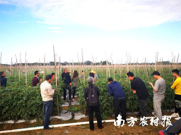 微信图片_20211126085655.jpg