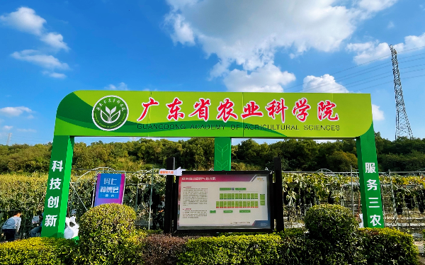 图片2.png
