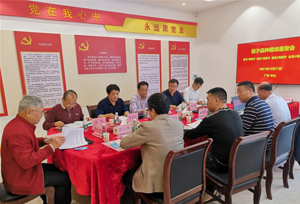 图片9.jpg