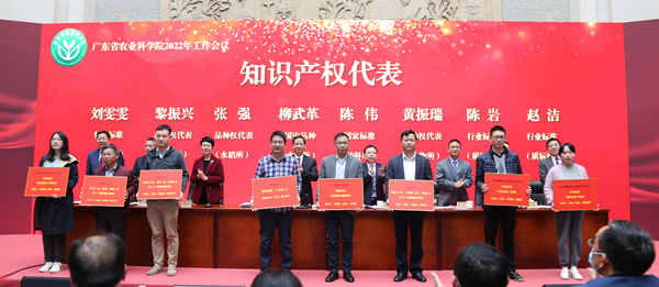 知识产权1.jpg