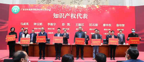 知识产权2.jpg