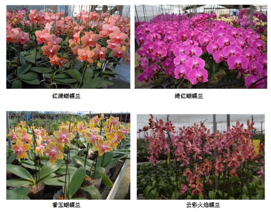 微信截图_20220126085736.png