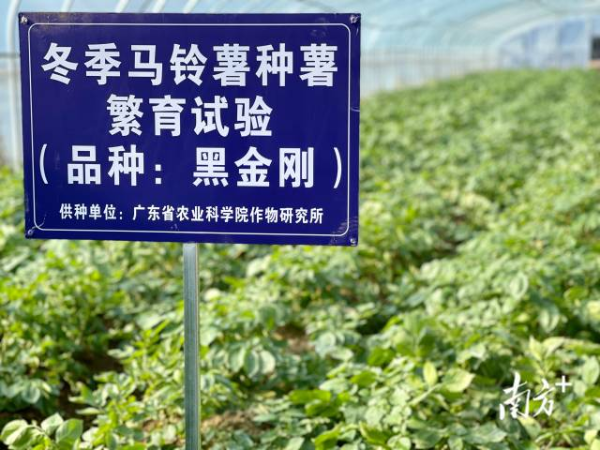 微信图片_20220127085458.jpg
