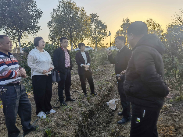已编辑图片