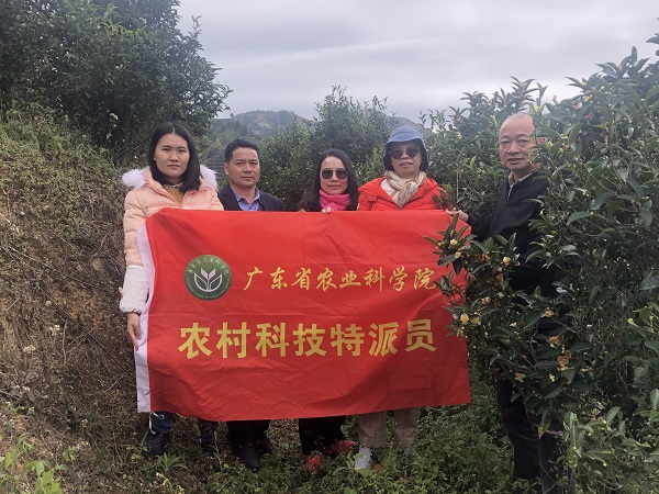 1.茶叶所帮镇扶村科技特派员助力北斗茶产业发展.jpg