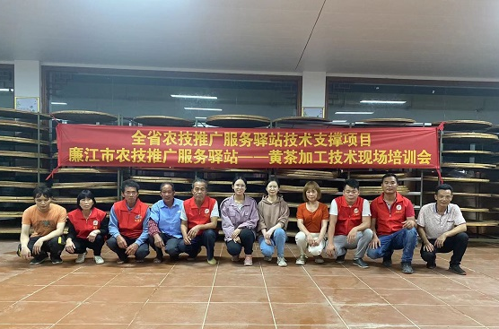 黄茶培训图片2.jpg