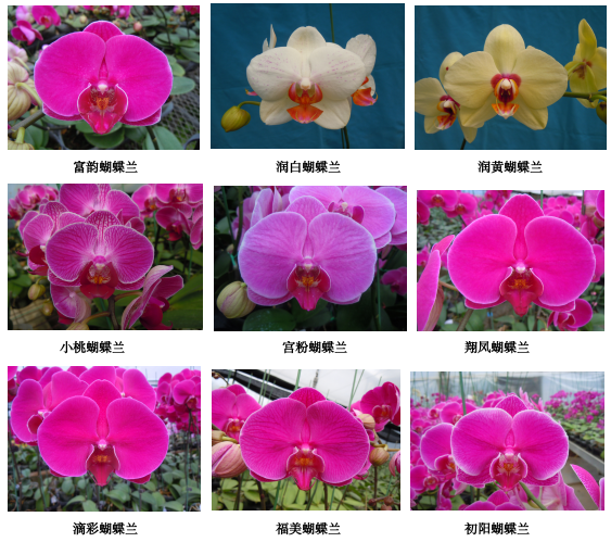 QQ截图20220428095227.png