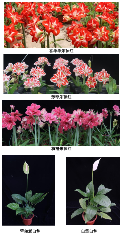 微信图片_20220507173952.png