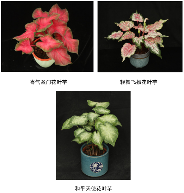 微信图片_20220523174335.png