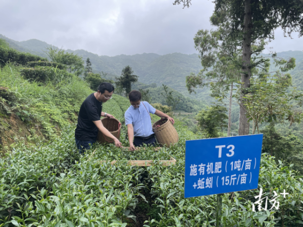 南方+ 马吉池 拍摄