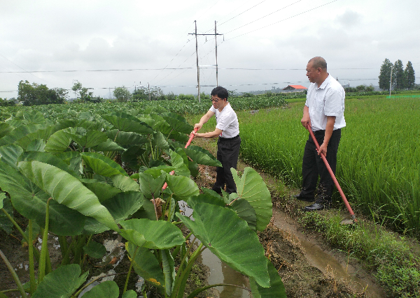 基因中心到廊田镇平富村开展“一所对一村”结对帮扶3.png