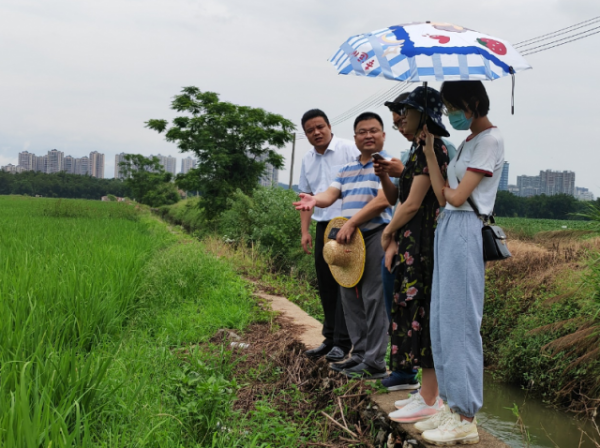 在沈所镇石下村广源生态农业种植基地现场交流。