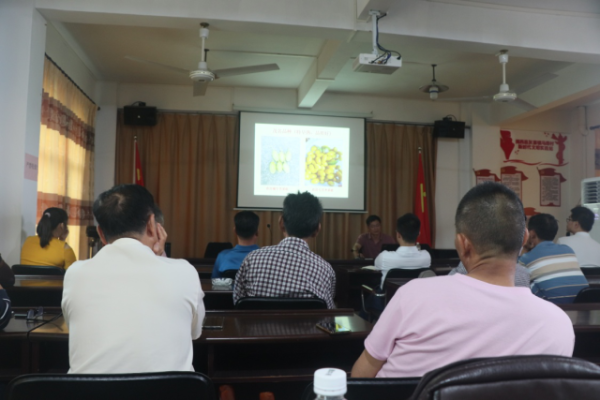 技术培训会现场