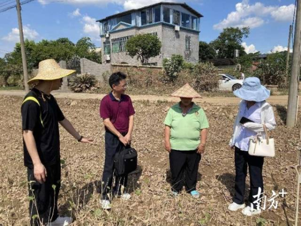 专家团队指导农民如何做灾后复耕工作。通讯员供图