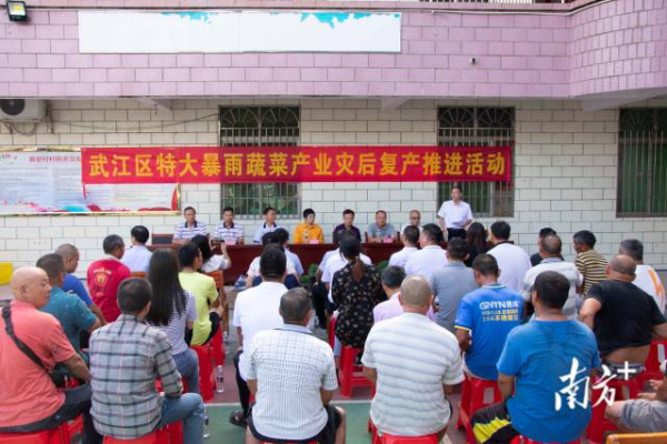 活动现场  南方农村报 王俊涛 拍摄