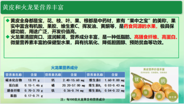 黄皮和火龙果营养价值高