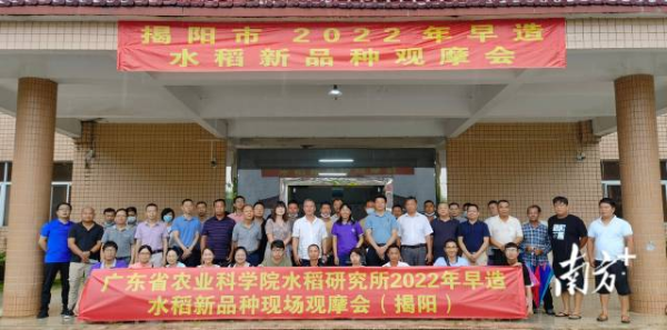 观摩会现场。省农科院供图
