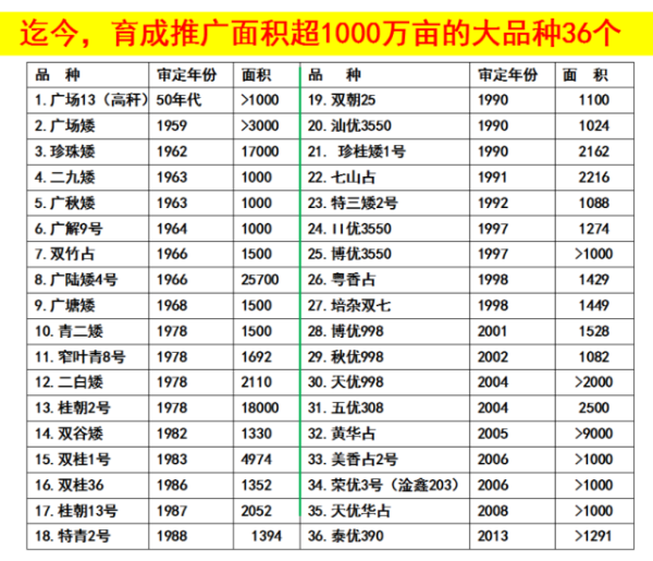 受访者供图