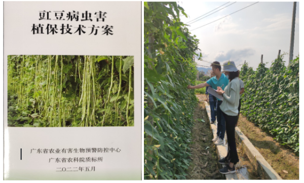 QQ截图20220711084035.png