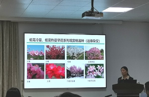 王力荣研究员做专题学术报告.jpg