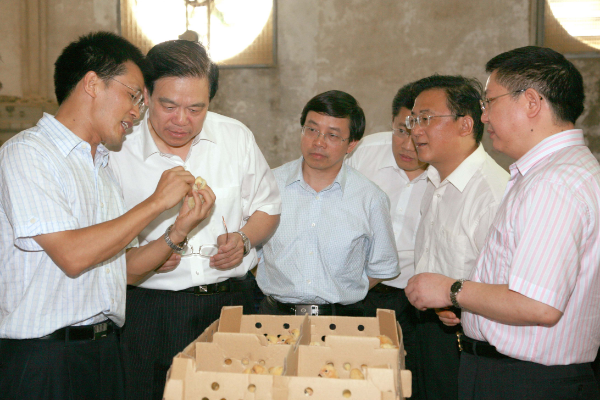 图片说明