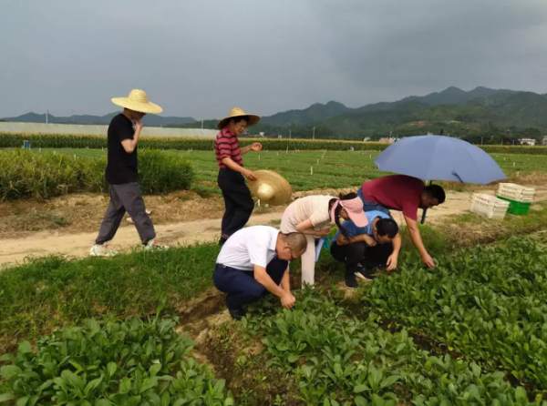 微信图片_20220905145556.png