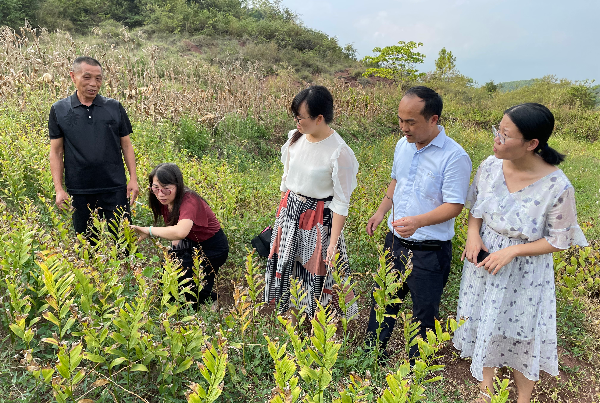 走访种植基地.jpg