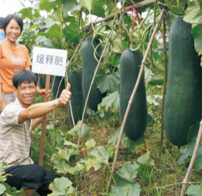 蔬菜高效施肥技术.jpg