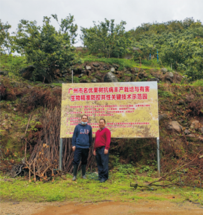 柑橘主要病虫害综合治理绿色防控技术.jpg