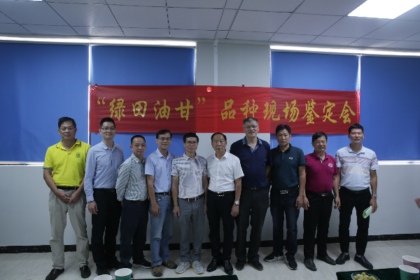 会议现场照.jpg