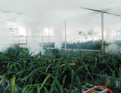 花卉蓟马类害虫防控技术.jpg