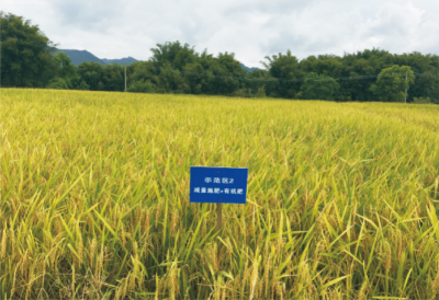 稻田面源污染综合防控技术.jpg
