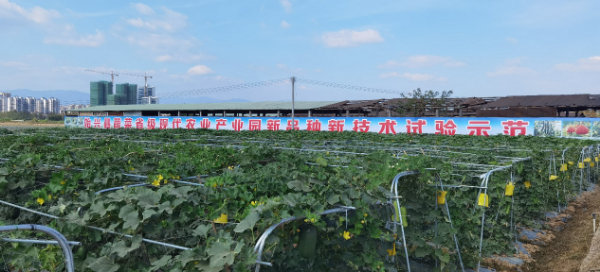 图片6.png