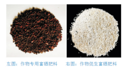 增效富硒肥料生产技术.jpg