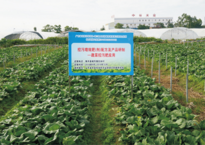 蔬菜控污配方肥及其应用技术.jpg