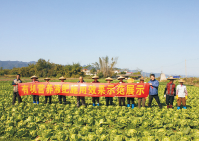 有机营养液肥高效使用技术.jpg