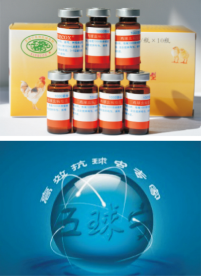 鸡球虫病的综合防控技术.jpg