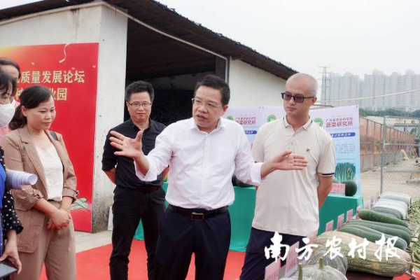 广东省农业科学院副院长张名位（右二）到现场指导工作 