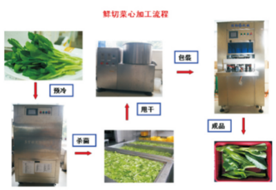果蔬鲜切加工技术.jpg