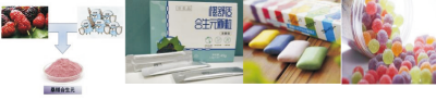 桑椹低聚糖产品（合生元、益生元软糖、益生元口香糖）生产技术.jpg