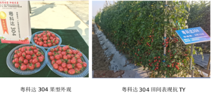 微信图片_20221230154414.png